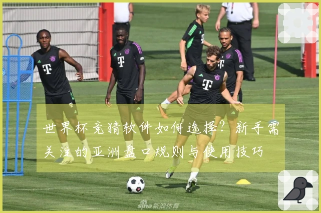 世界杯竞猜软件如何选择？新手需关注的亚洲盘口规则与使用技巧