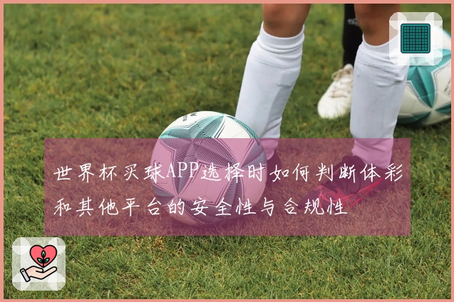 世界杯买球APP选择时如何判断体彩和其他平台的安全性与合规性