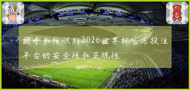 新手如何识别2026世界杯官方投注平台的安全性和正规性