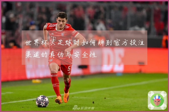 世界杯买足球时如何辨别官方投注渠道的真伪与安全性