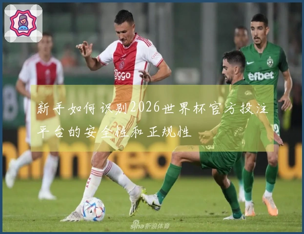 新手如何识别2026世界杯官方投注平台的安全性和正规性